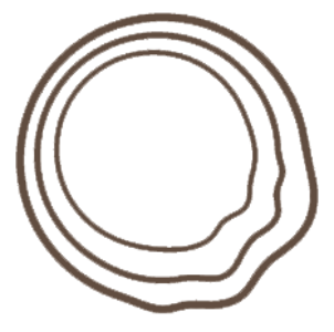 50_REF_STRAN_Logo